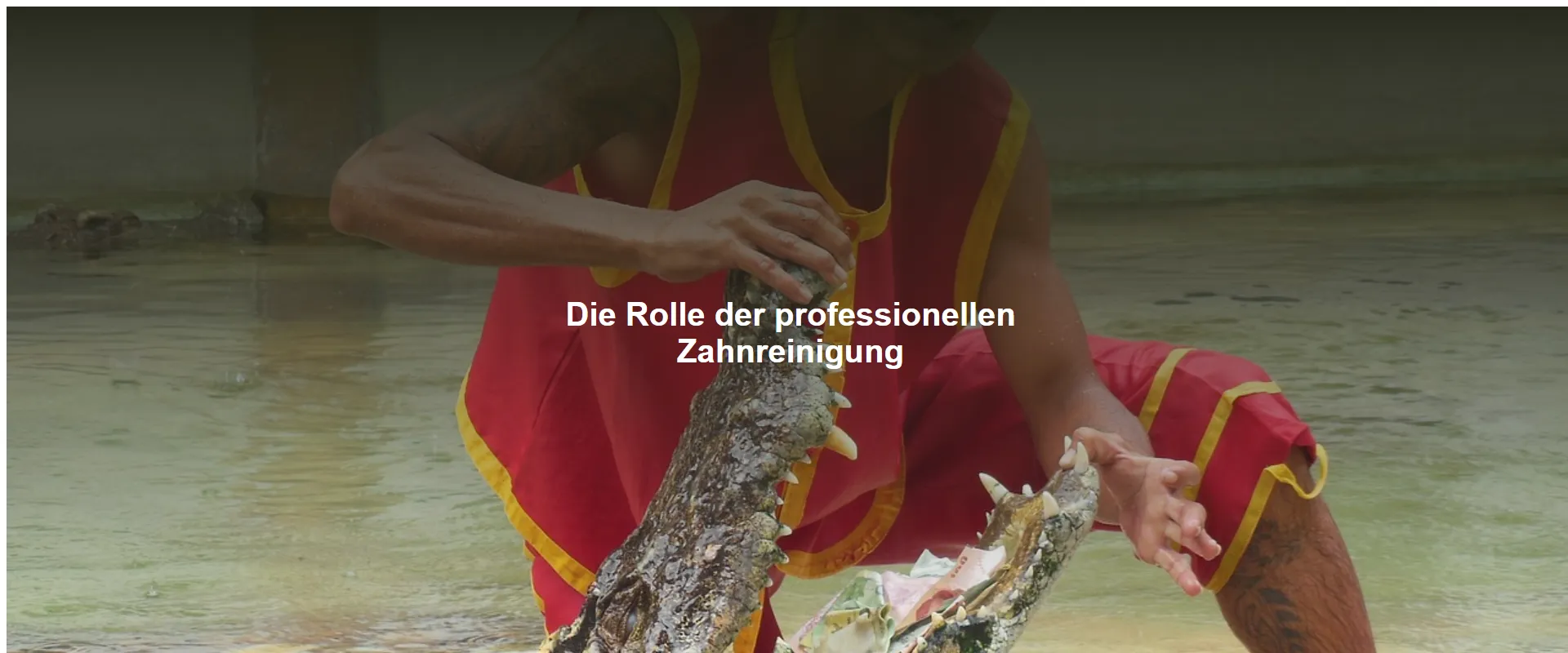 Die Rolle der professionellen Zahnreinigung